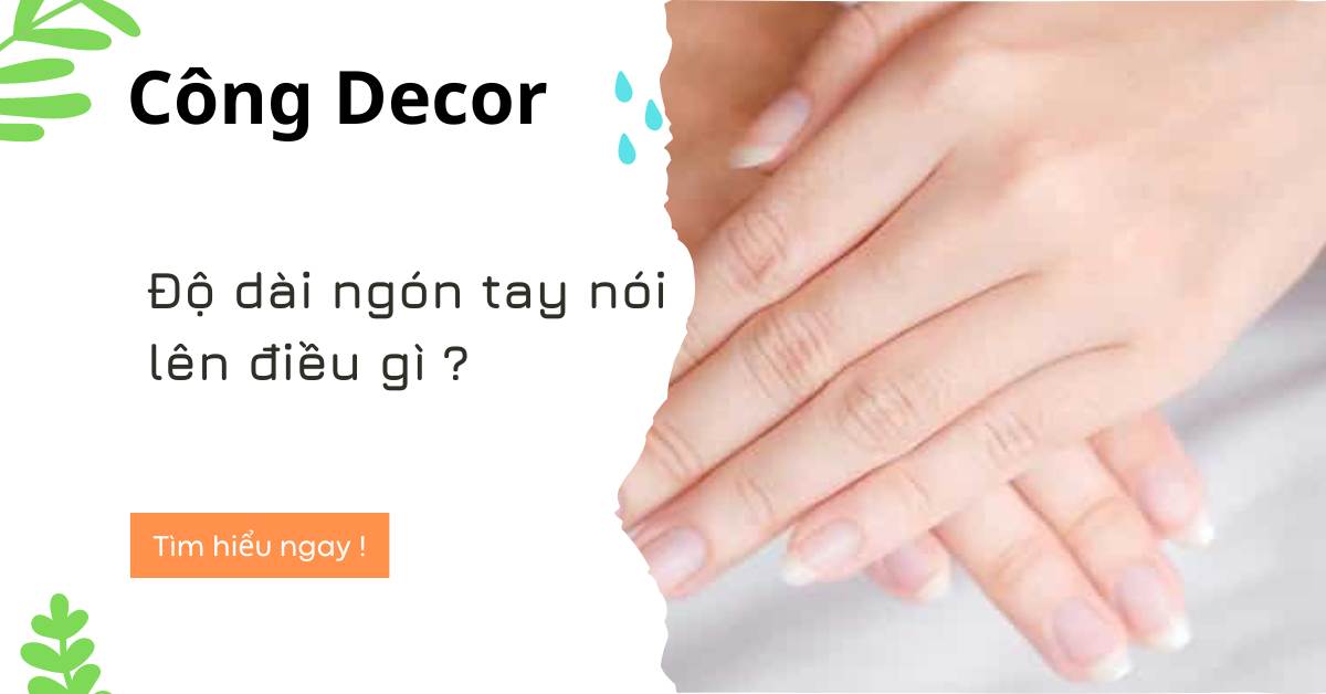 Độ dài ngón tay nói lên điều gì về tính cách và vận mệnh của bạn