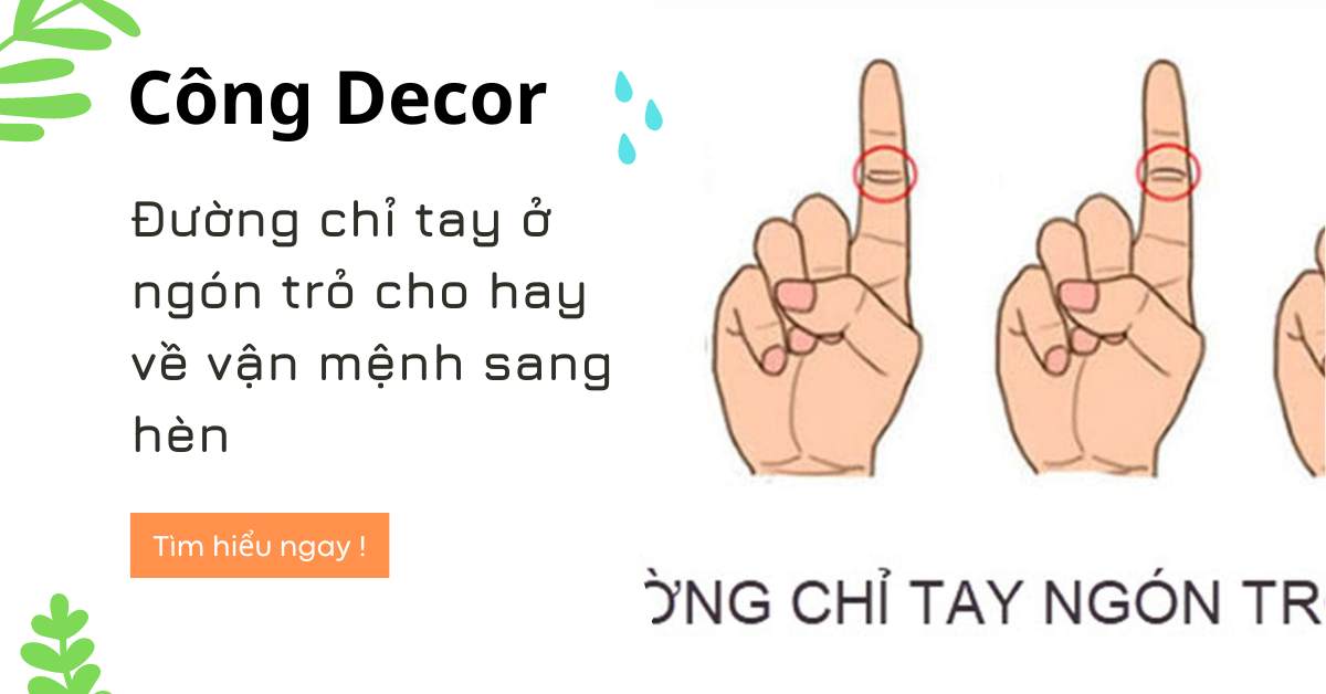 Đường chỉ tay ở ngón trỏ cho hay về vận mệnh sang hèn